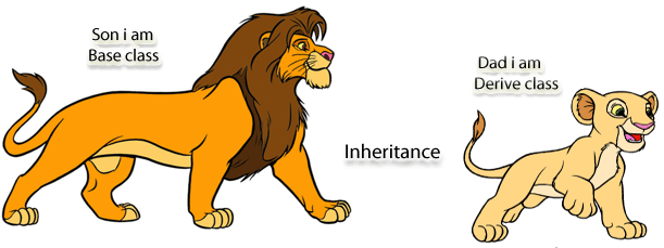 PHP Object Oriented Programming পর্ব-৬: PHP OOP Inheritance